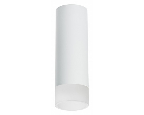 Накладной светильник Lightstar Rullo R48631 Накладной светильник Lightstar Rullo R48631