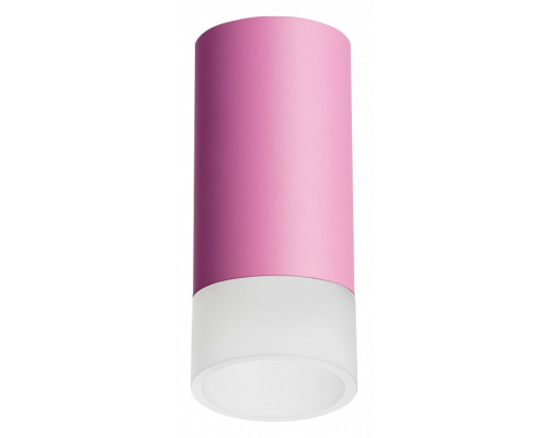 Накладной светильник Lightstar Rullo R43231 Накладной светильник Lightstar Rullo R43231
