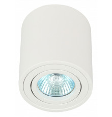 Накладной светильник Эра OL21 WH Б0054392