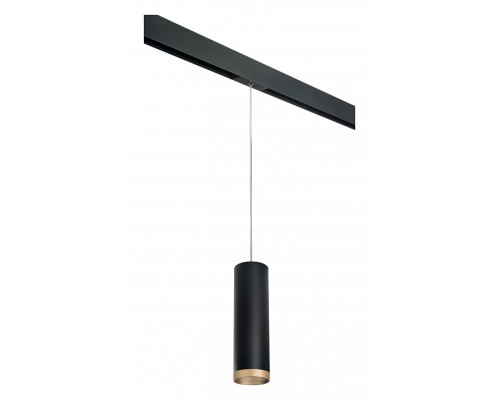 Подвесной светильник Lightstar Rullo PRORP649790 Подвесной светильник Lightstar Rullo PRORP649790