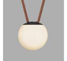 Накладной светильник Denkirs BELTY ORB DK5551-BK