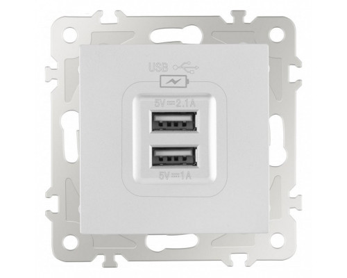 Розетка USB, без рамки Arte Milano am-206 206.46-1.silver Розетка USB, без рамки Arte Milano am-206 206.46-1.silver