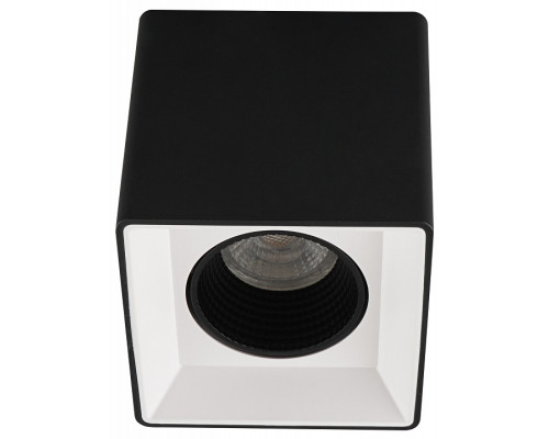 Накладной светильник Denkirs DK3030 DK3080-BW+BK Накладной светильник Denkirs DK3030 DK3080-BW+BK
