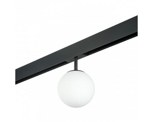 Светильник на штанге Lightstar Teta PRO110107 Светильник на штанге Lightstar Teta PRO110107
