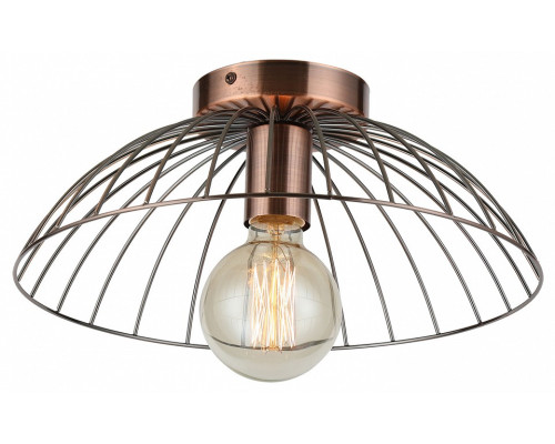 Накладной светильник Lussole Brooks 1 GRLSP-8249 Накладной светильник Lussole Brooks 1 GRLSP-8249