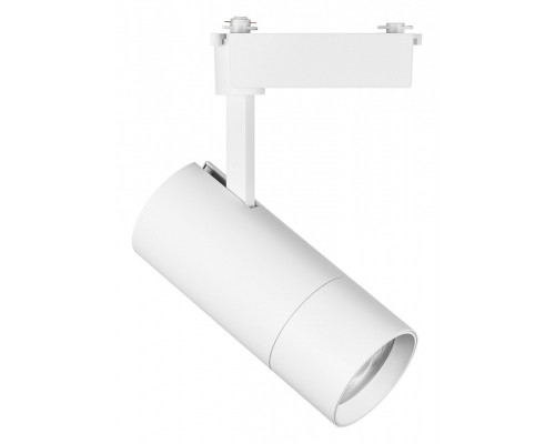 Светильник на штанге Lightstar Volta 229346 Светильник на штанге Lightstar Volta 229346