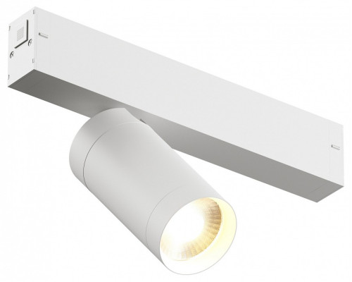 Светильник на штанге Denkirs Smart DK8010-WH Светильник на штанге Denkirs Smart DK8010-WH