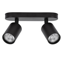 Спот Arte Lamp Aquarius A3226PL-2BK