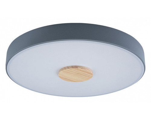 Накладной светильник Loft it Axel 2 10003/24 Grey Накладной светильник Loft it Axel 2 10003/24 Grey