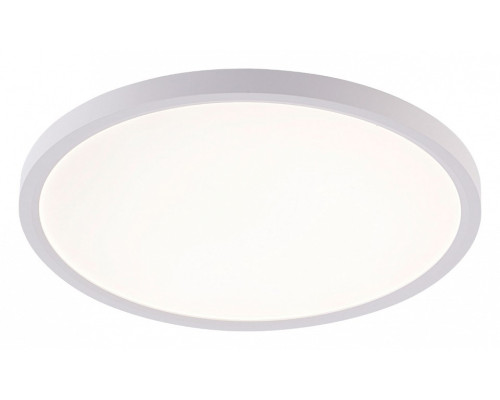 Накладной светильник Natali Kovaltseva PLAIN LED LAMPS 81113/3C Накладной светильник Natali Kovaltseva PLAIN LED LAMPS 81113/3C