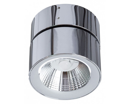 Накладной светильник Divinare Urchin 1295/02 PL-1 Накладной светильник Divinare Urchin 1295/02 PL-1