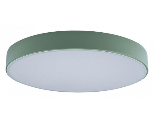 Накладной светильник Loft it Axel 1 10002/24 Green Накладной светильник Loft it Axel 1 10002/24 Green