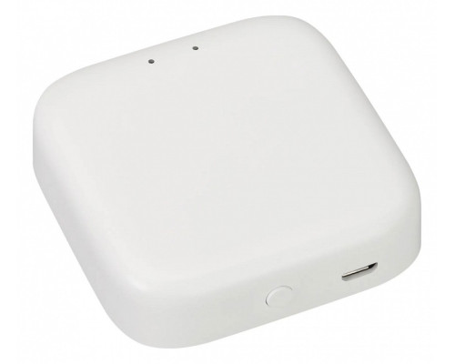 Конвертер Wi-Fi для смартфонов и планшетов Arlight TUYA 26175 Конвертер Wi-Fi для смартфонов и планшетов Arlight TUYA 26175