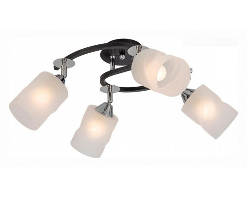 Потолочная люстра Citilux Сиерра CL119241 Потолочная люстра Citilux Сиерра CL119241