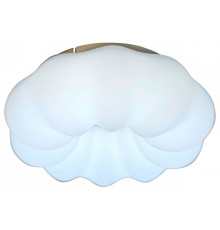 Накладной светильник Zortes Soft ZRS.1118.2