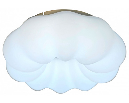 Накладной светильник Zortes Soft ZRS.1118.2 Накладной светильник Zortes Soft ZRS.1118.2