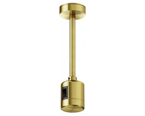 Основание на штанге Maytoni Accessories for tracks Flarity TRA156C-IPCL1-BS Основание на штанге Maytoni Accessories for tracks Flarity TRA156C-IPCL1-BS