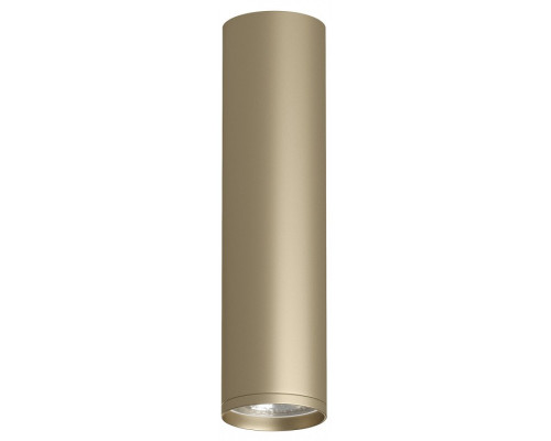 Накладной светильник Denkirs TUBE DK2052-SG