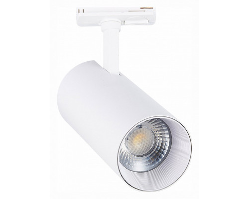 Светильник на штанге ST-Luce Mono ST350.536.30.36 Светильник на штанге ST-Luce Mono ST350.536.30.36