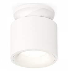 Накладной светильник Ambrella Light XS XS7510041