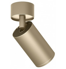 Спот Denkirs TUBE DK2029-GG