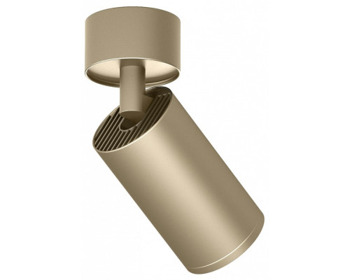 Спот Denkirs TUBE DK2029-GG