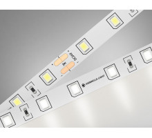 Лента светодиодная Ambrella Light GS GS3002
