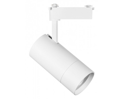 Светильник на штанге Lightstar Volta 229446 Светильник на штанге Lightstar Volta 229446