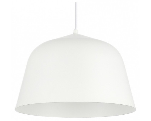 Подвесной светильник EVOLUCE Blank SLE1805-503-01 Подвесной светильник EVOLUCE Blank SLE1805-503-01