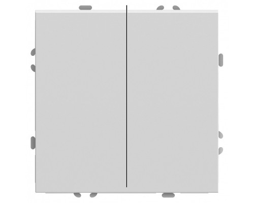 Выключатель двухклавишный без рамки Stekker RSW10-5107-01 49869 Выключатель двухклавишный без рамки Stekker RSW10-5107-01 49869