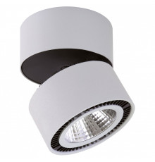 Накладной светильник Lightstar Forte Muro 214830