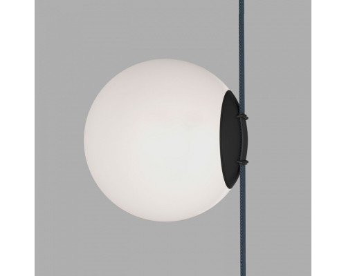 Накладной светильник Denkirs BELTY ORB DK5552-BK Накладной светильник Denkirs BELTY ORB DK5552-BK