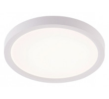 Накладной светильник Natali Kovaltseva PLAIN LED LAMPS 81113/1C