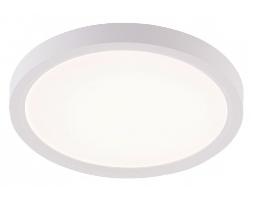 Накладной светильник Natali Kovaltseva PLAIN LED LAMPS 81113/1C Накладной светильник Natali Kovaltseva PLAIN LED LAMPS 81113/1C