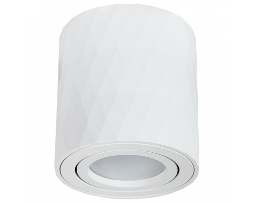 Накладной светильник Arte Lamp Fang A5559PL-1WH Накладной светильник Arte Lamp Fang A5559PL-1WH