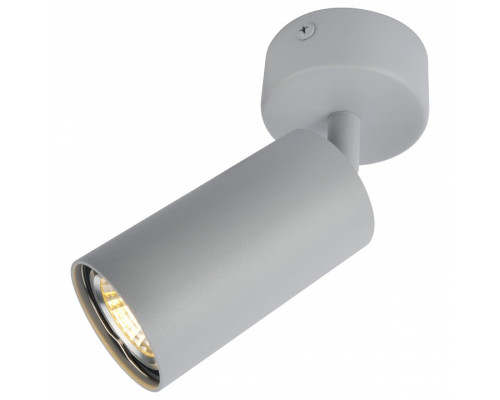 Спот Arte Lamp Aquarius A3216PL-1GY Спот Arte Lamp Aquarius A3216PL-1GY