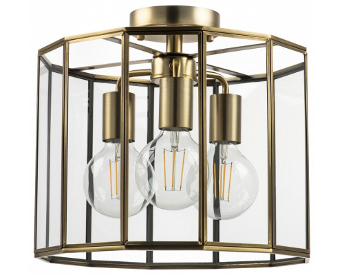Светильник на штанге Lightstar Genni 798231 Светильник на штанге Lightstar Genni 798231