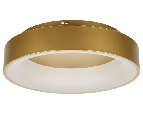 Накладной светильник MyFar Shannon MR2195-1PL Накладной светильник MyFar Shannon MR2195-1PL
