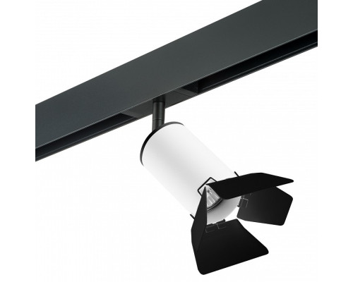 Светильник на штанге Lightstar Rullo PRO436437 Светильник на штанге Lightstar Rullo PRO436437