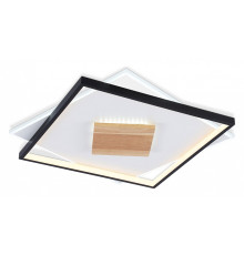 Накладной светильник Ambrella Light FL FL4791