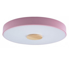 Накладной светильник Loft it Axel 2 10003/24 Pink