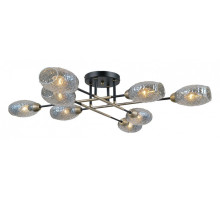 Потолочная люстра ILLUMICO  IL0255-8CSQ-79 BK AB