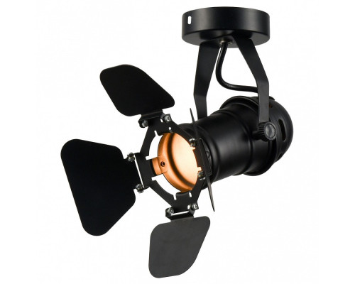 Спот Lussole Thornton LSP-9838 Спот Lussole Thornton LSP-9838