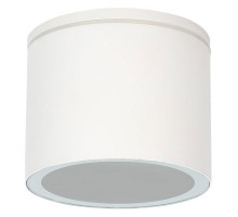 Накладной светильник Arte Lamp Piautos A1913PF-1WH