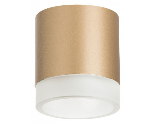Накладной светильник Lightstar Rullo R349080 Накладной светильник Lightstar Rullo R349080