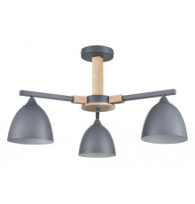 Люстра на штанге Lumion Colange 8096/3C