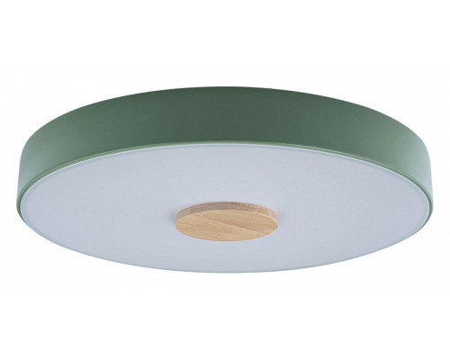 Накладной светильник Loft it Axel 2 10003/24 Green Накладной светильник Loft it Axel 2 10003/24 Green