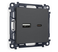 Розетка 2хUSB type A и C без рамки Ambrella Volt Quant MA911010