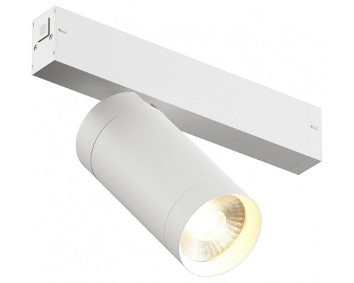 Светильник на штанге Denkirs Smart DK8020-WH Светильник на штанге Denkirs Smart DK8020-WH