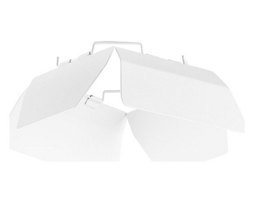 Плафон металлический Lightstar Canno 202996 Плафон металлический Lightstar Canno 202996